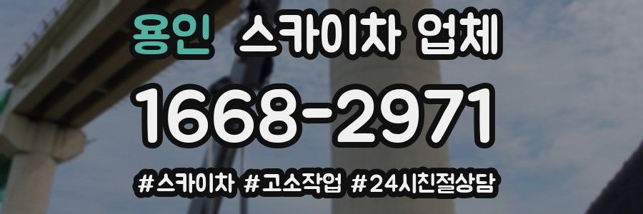 용인 스카이차 업체
