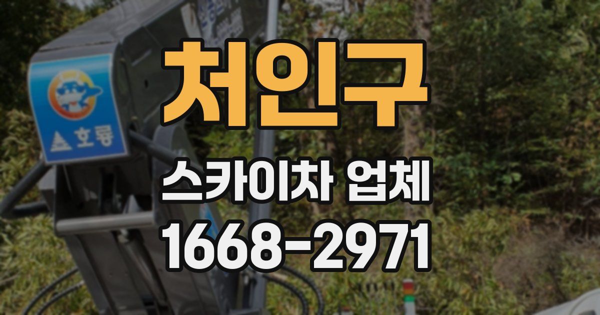 처인구 스카이차 업체