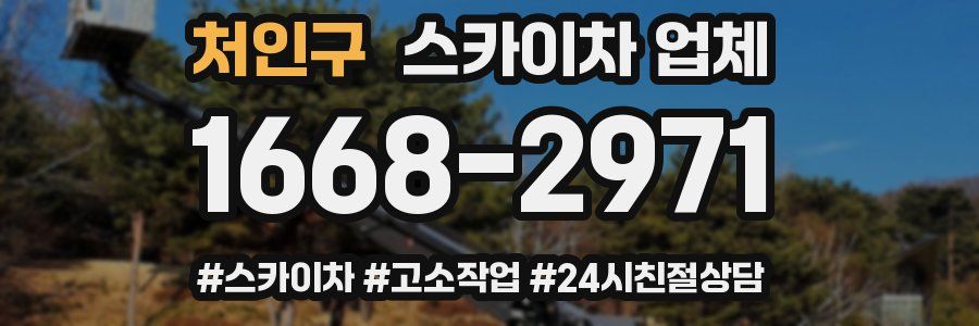 처인구 스카이차 업체