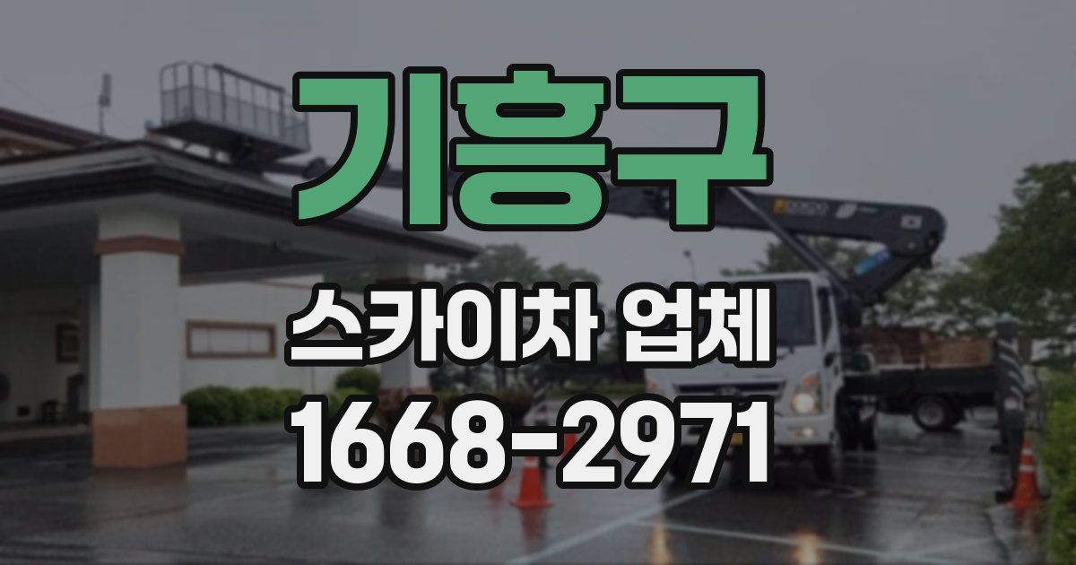 기흥구 스카이차 업체