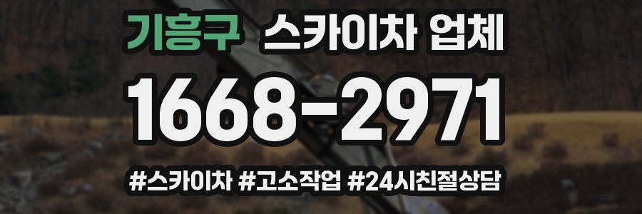 기흥구 스카이차 업체