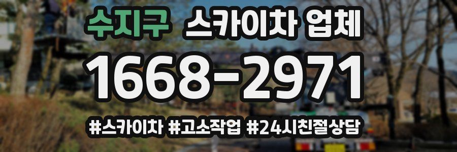 수지구 스카이차 업체