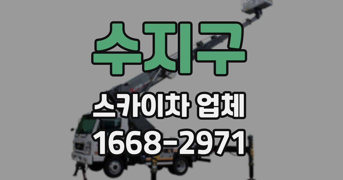 수지구 스카이차 업체