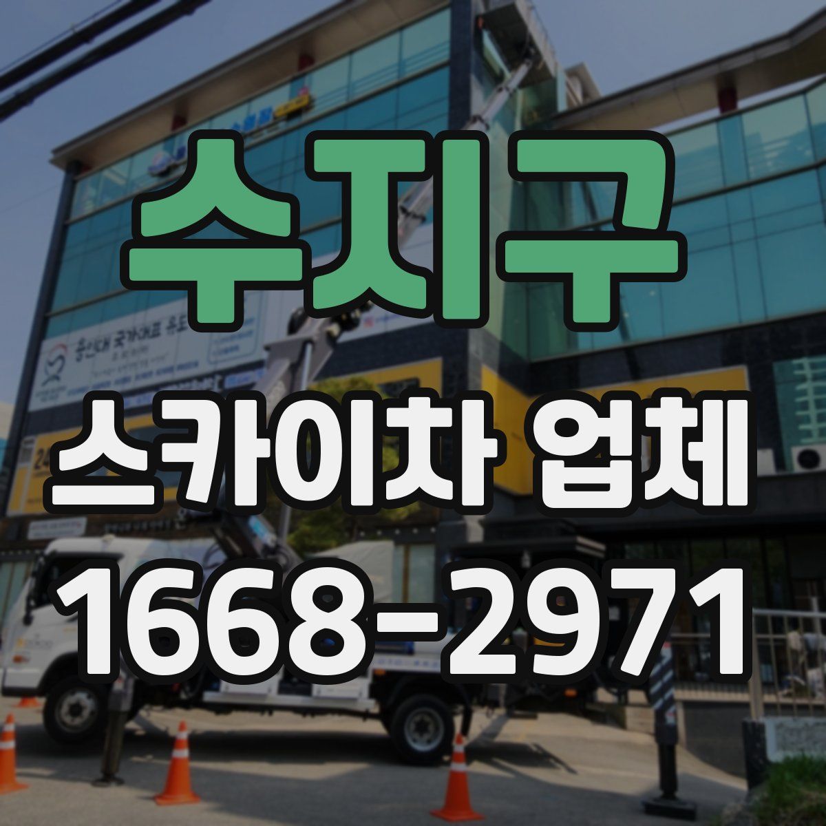 수지구 스카이차 업체