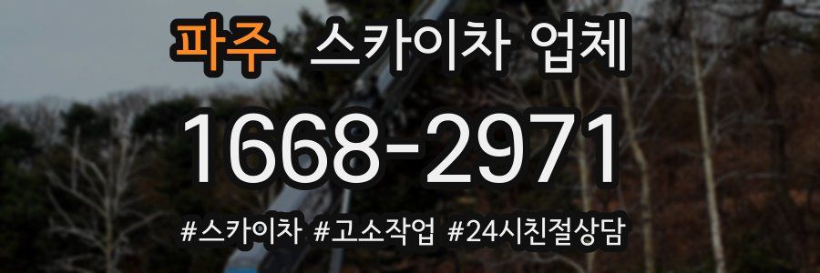 파주 스카이차 업체