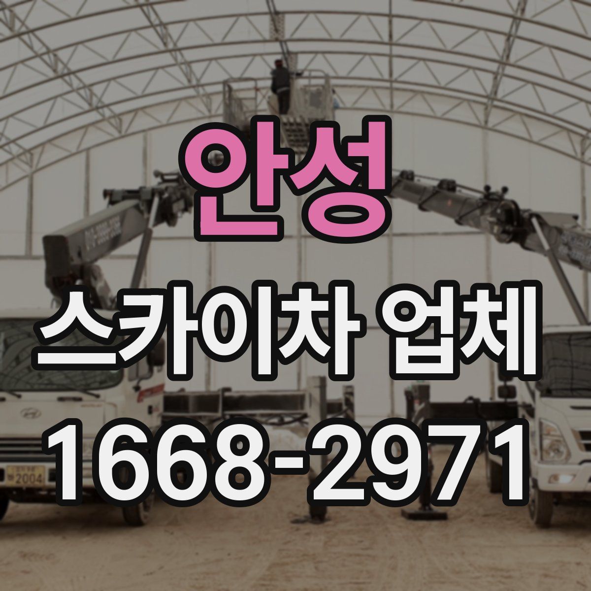 안성 스카이차 업체