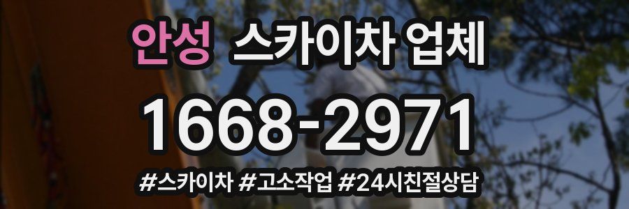 안성 스카이차 업체