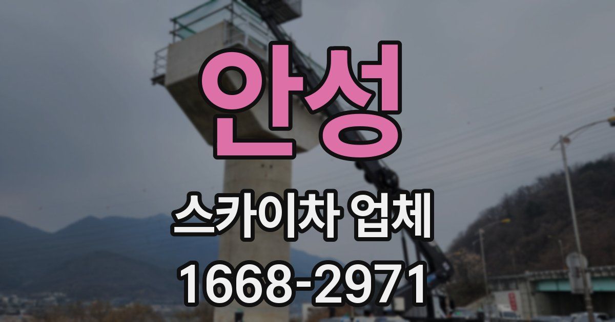 안성 스카이차 업체
