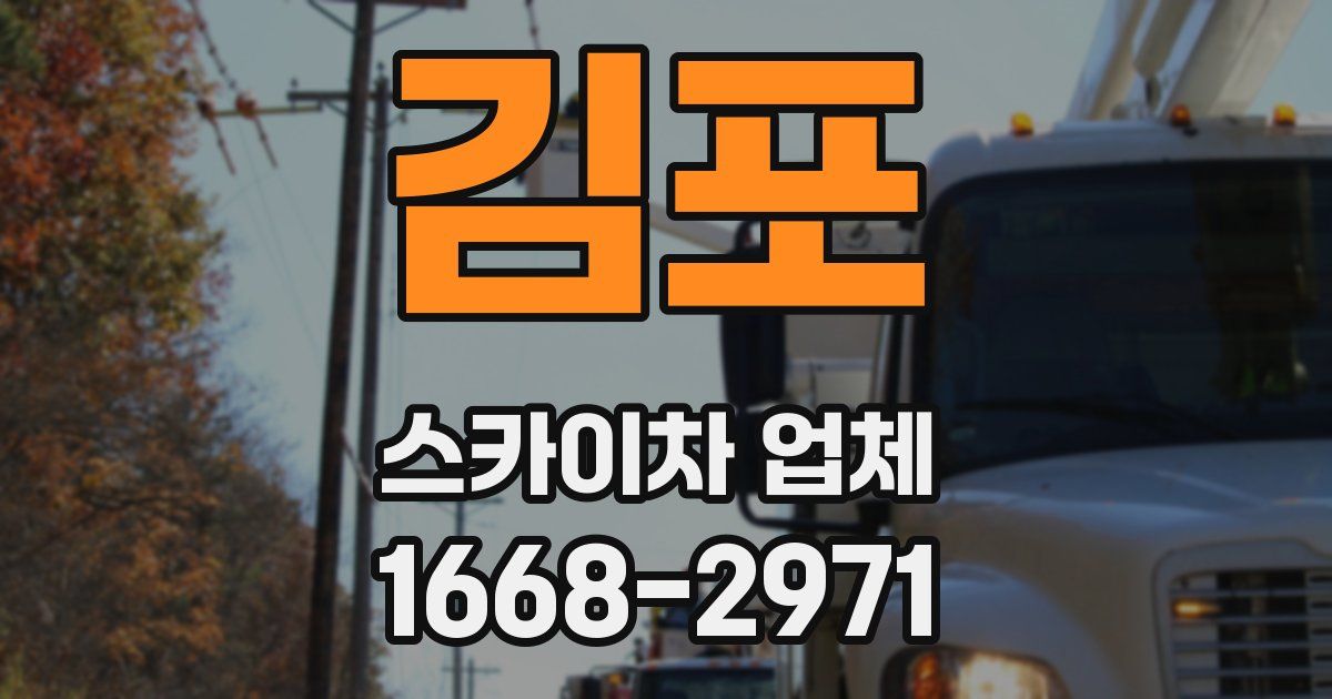 김포 스카이차 업체