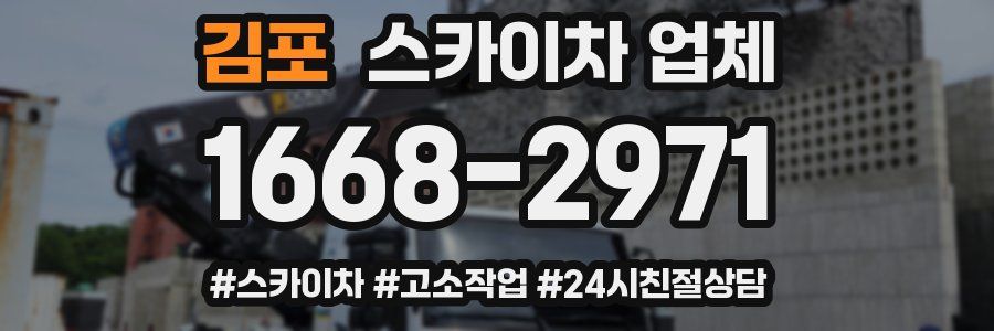 김포 스카이차 업체