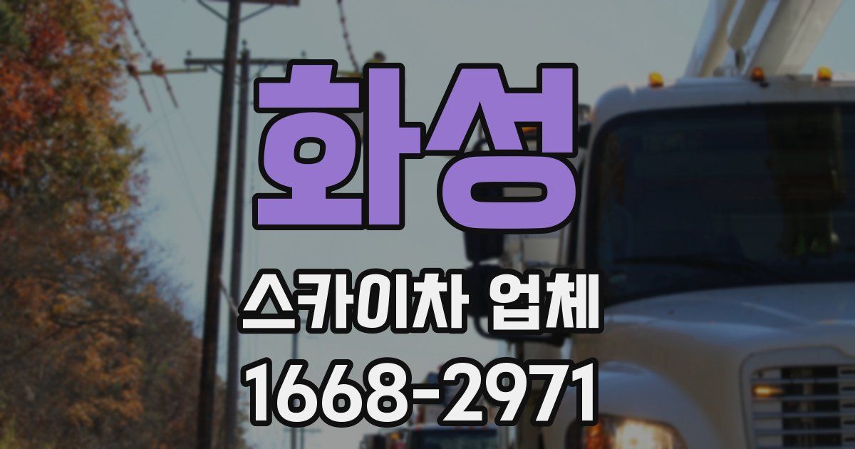 화성 스카이차 업체