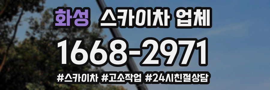 화성 스카이차 업체