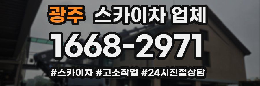 광주 스카이차 업체