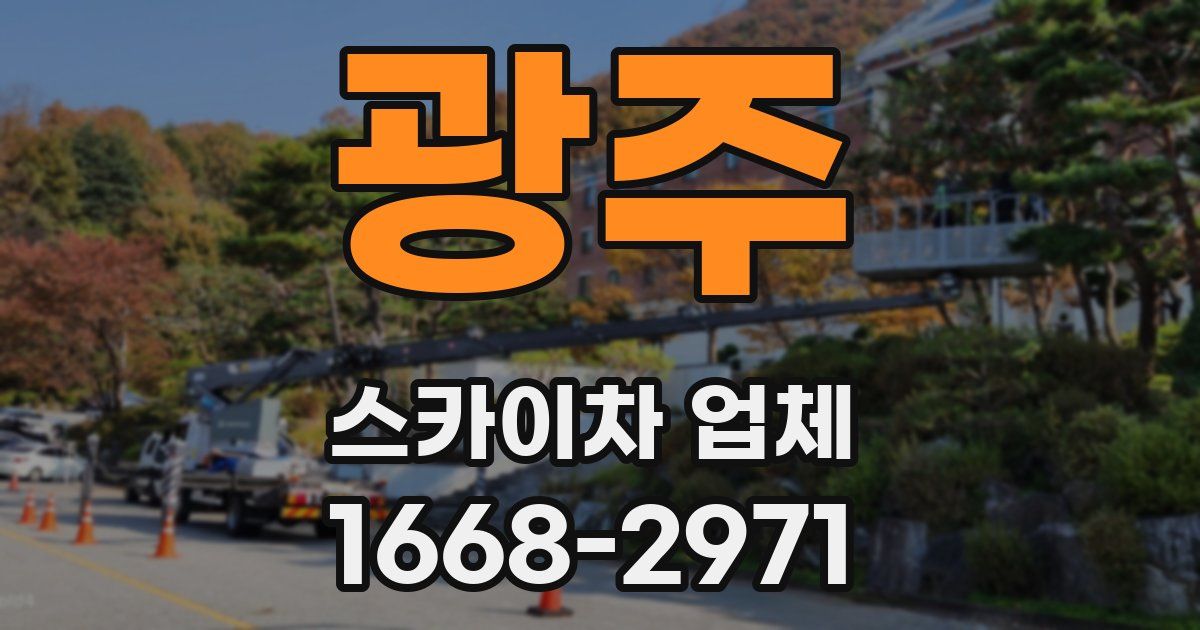 광주 스카이차 업체