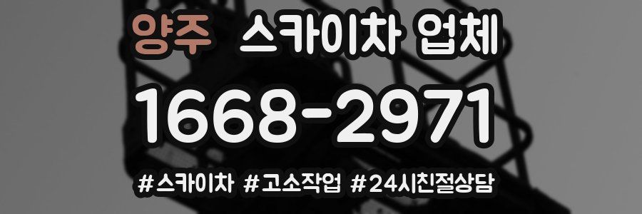 양주 스카이차 업체