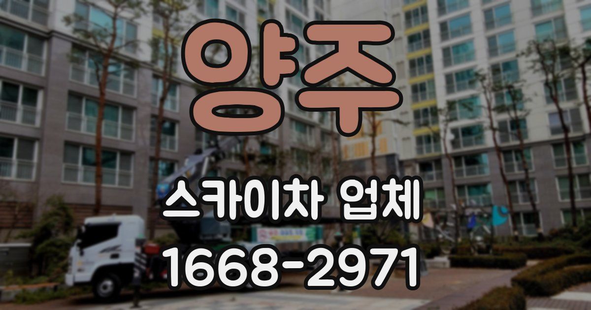 양주 스카이차 업체