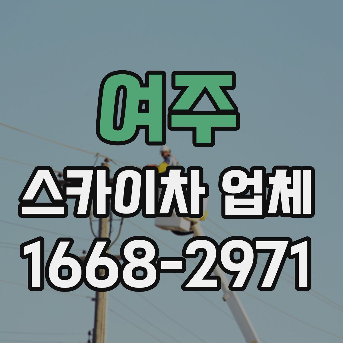 여주 스카이차 업체