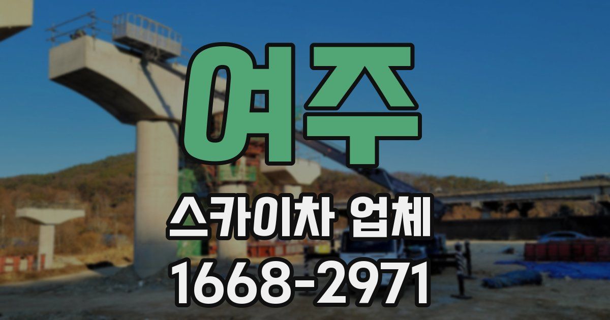 여주 스카이차 업체