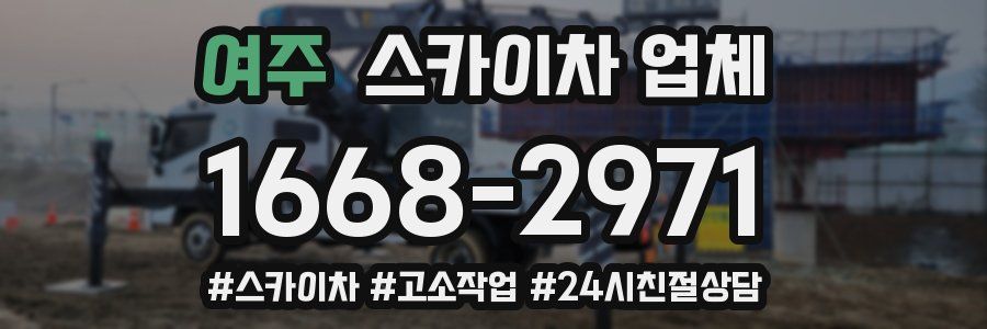 여주 스카이차 업체