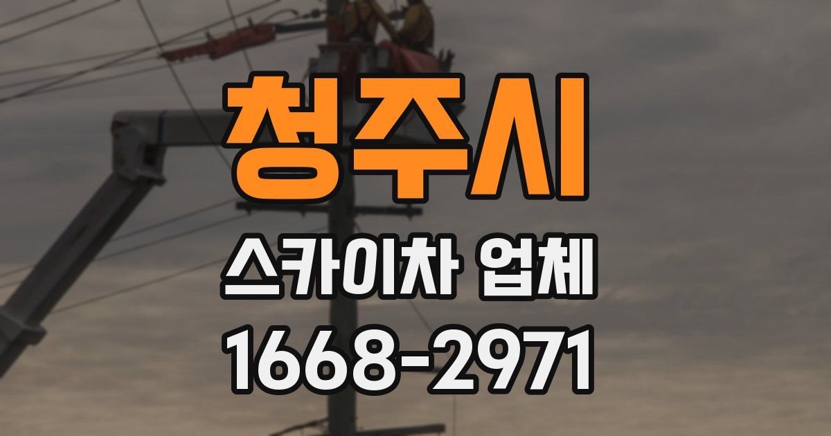 청주시 스카이차 업체