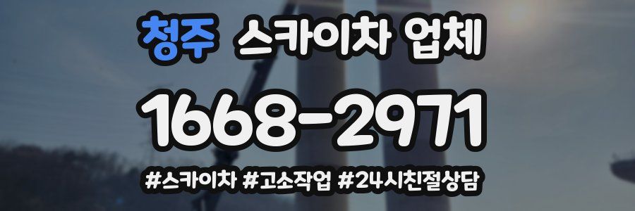 청주 스카이차 업체