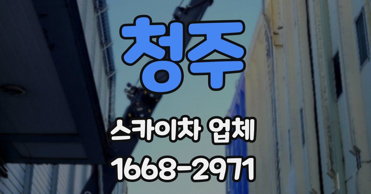 청주 스카이차 업체