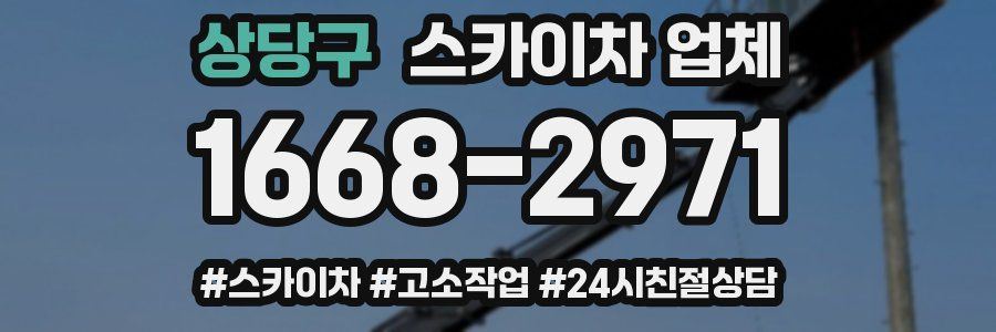 상당구 스카이차 업체