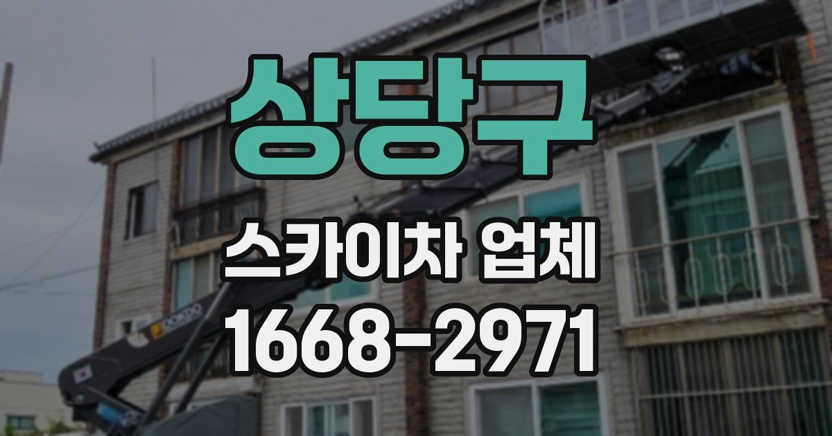 상당구 스카이차 업체