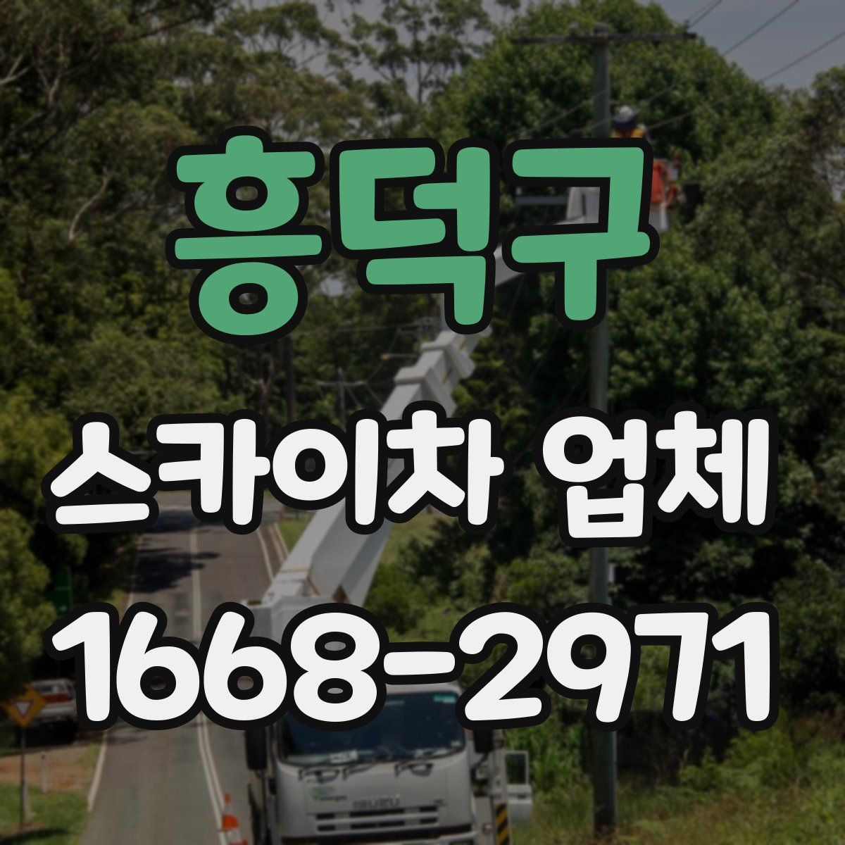 흥덕구 스카이차 업체