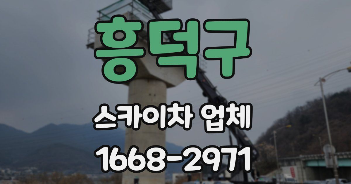 흥덕구 스카이차 업체