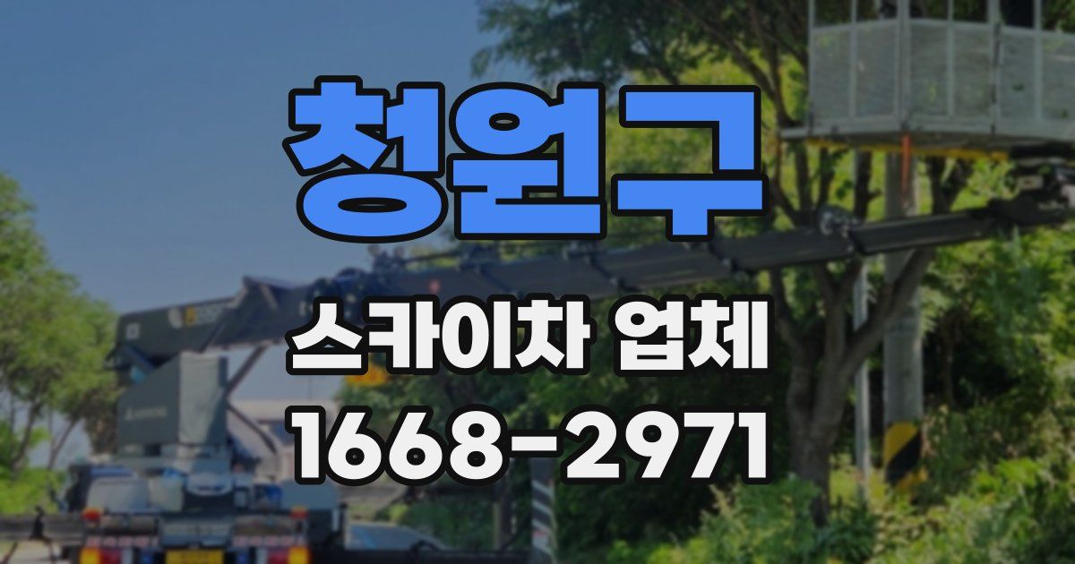 청원구 스카이차 업체