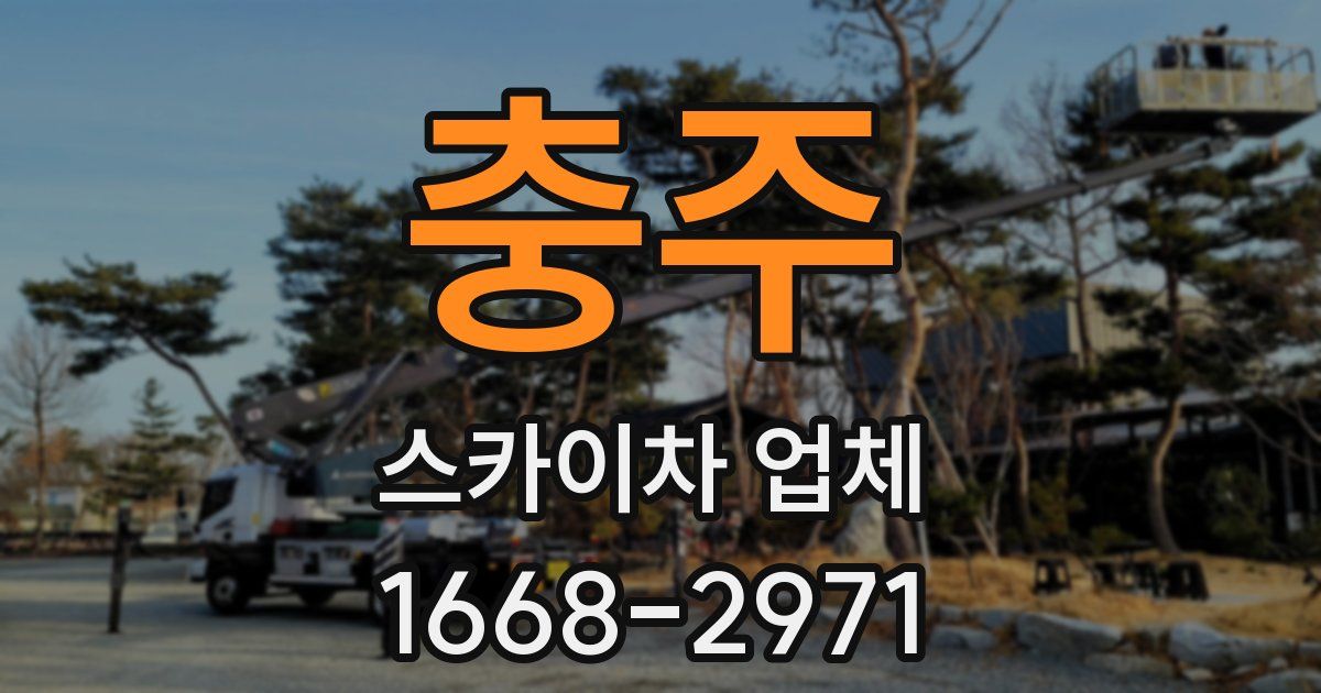 충주 스카이차 업체