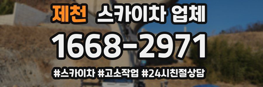 제천 스카이차 업체