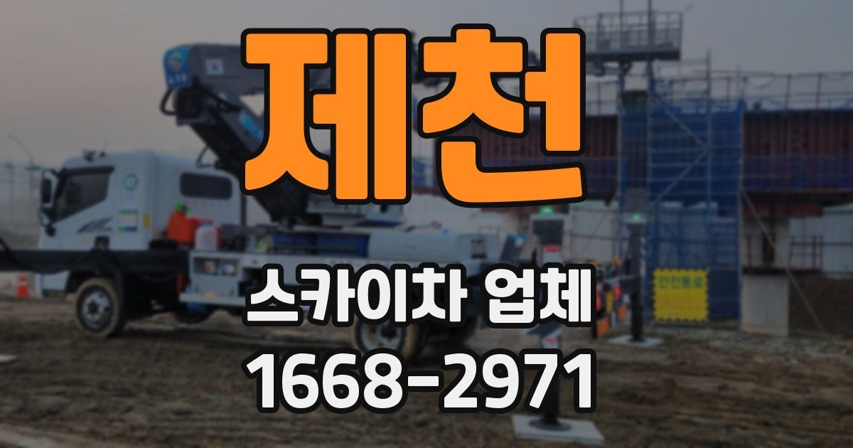 제천 스카이차 업체