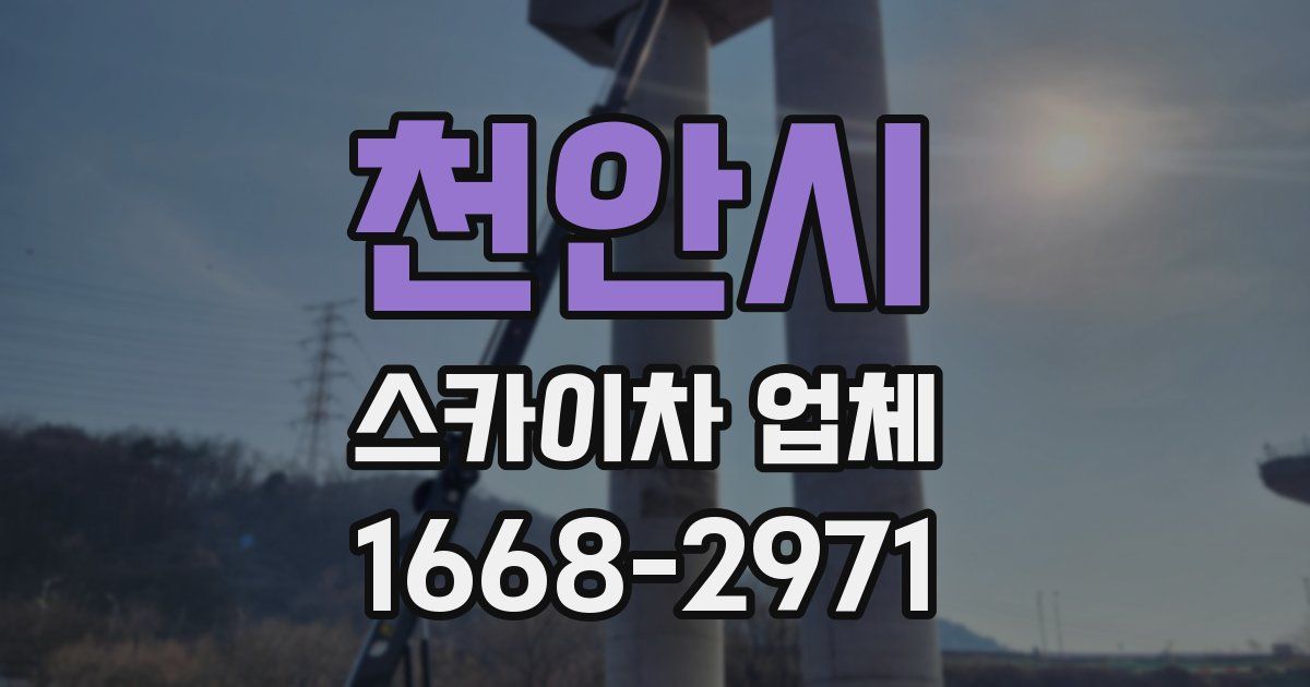 천안시 스카이차 업체