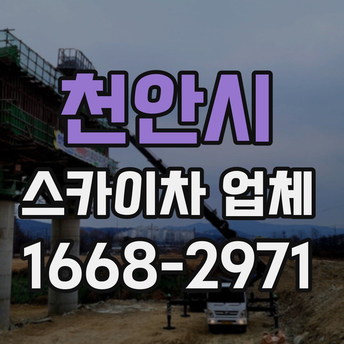 천안시 스카이차 업체