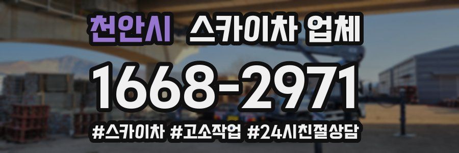 천안시 스카이차 업체