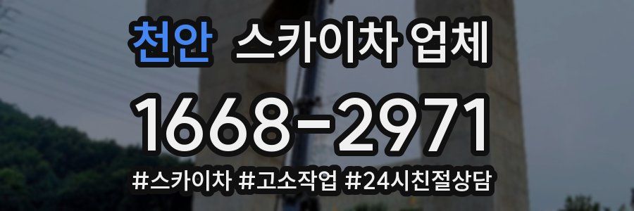 천안 스카이차 업체