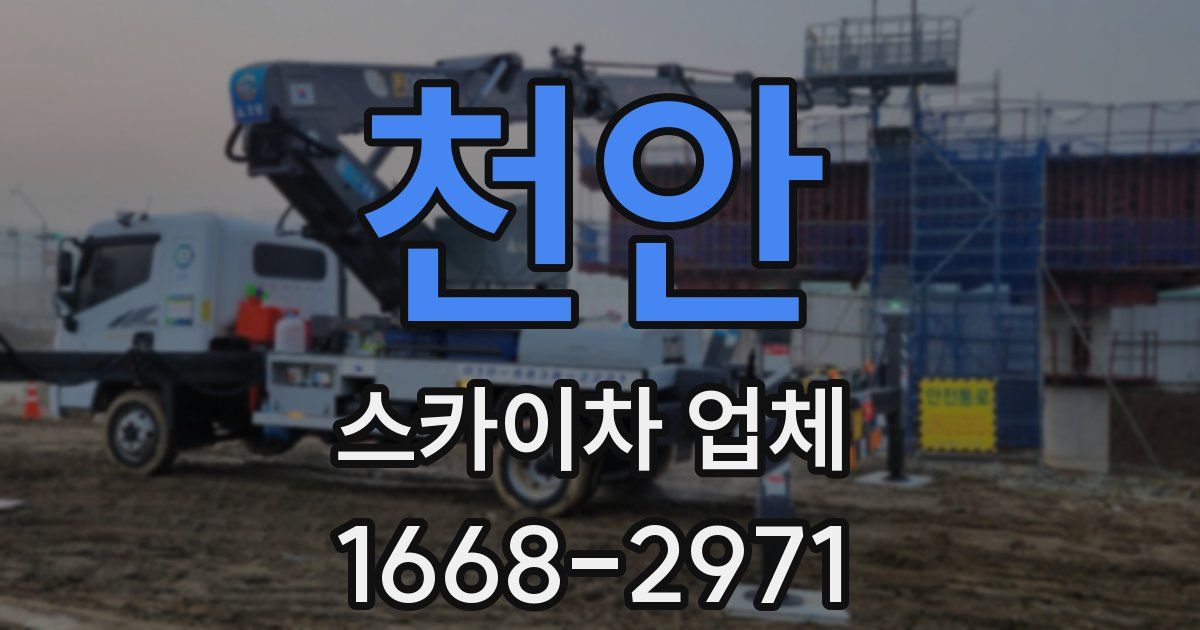 천안 스카이차 업체