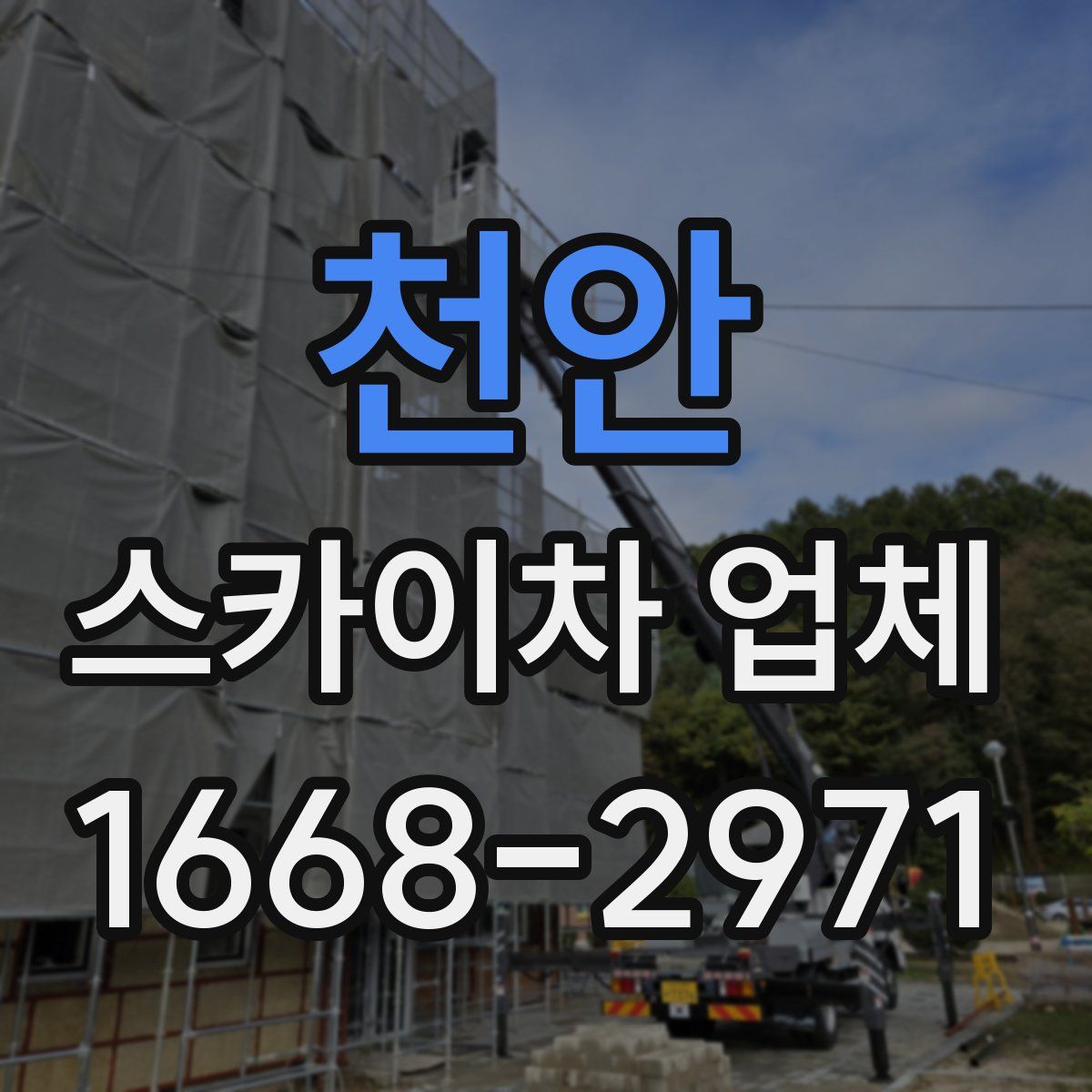 천안 스카이차 업체
