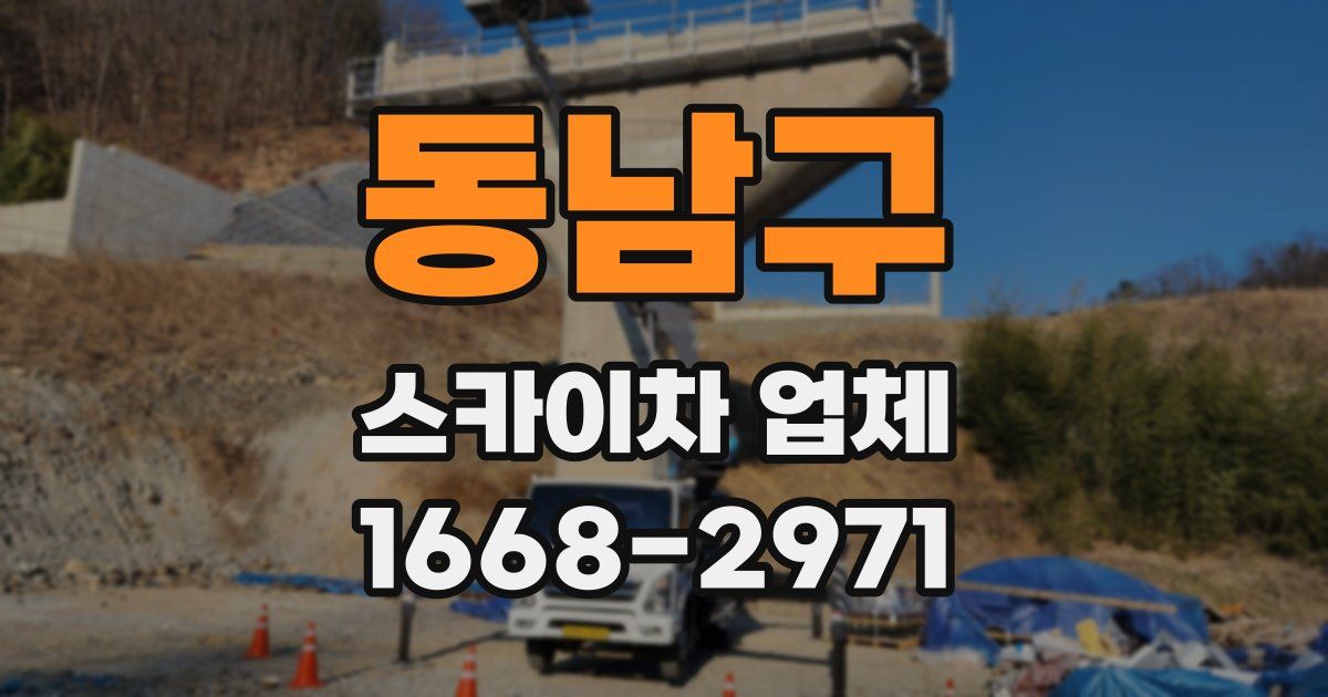 동남구 스카이차 업체