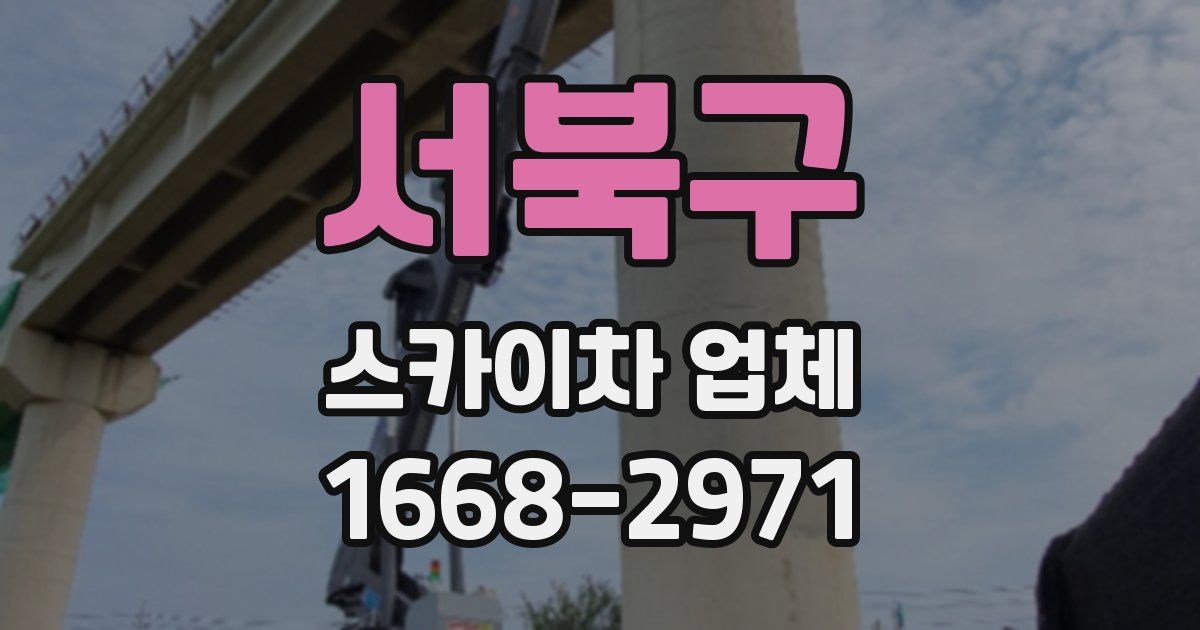 서북구 스카이차 업체