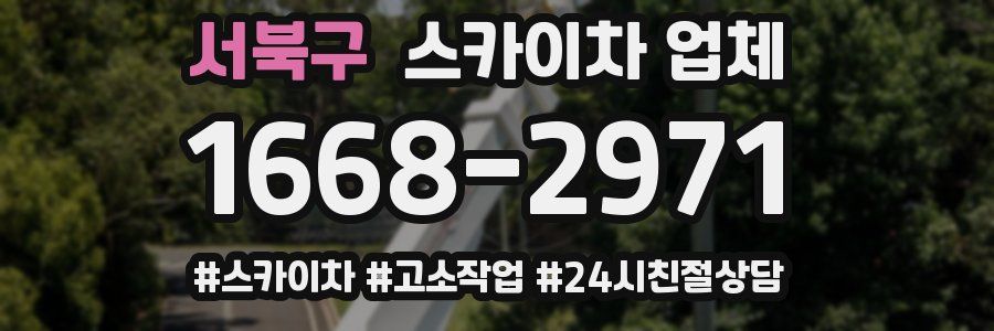 서북구 스카이차 업체
