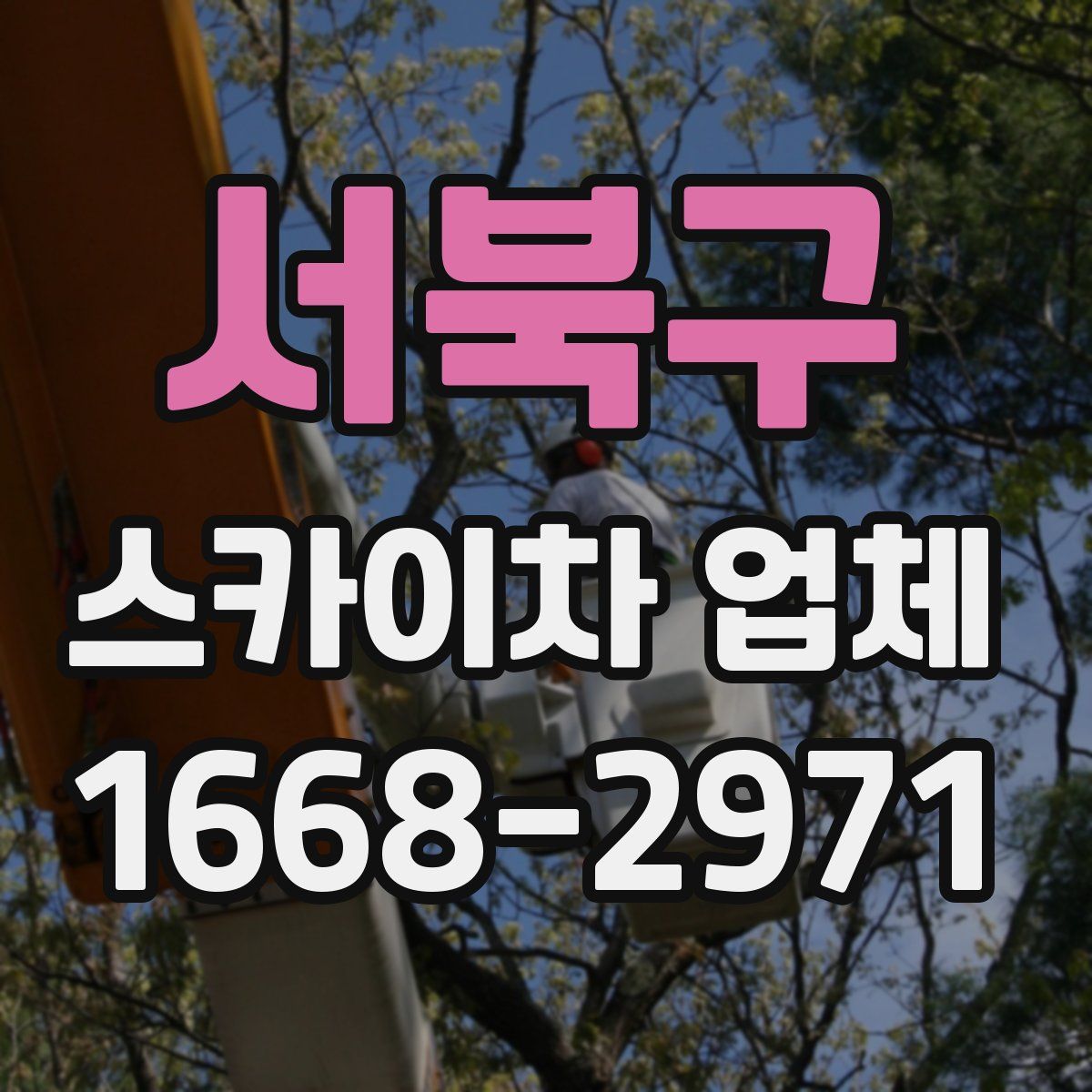 서북구 스카이차 업체