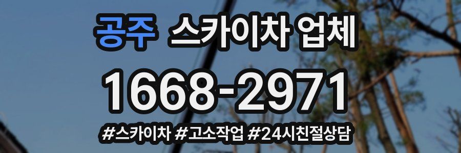 공주 스카이차 업체