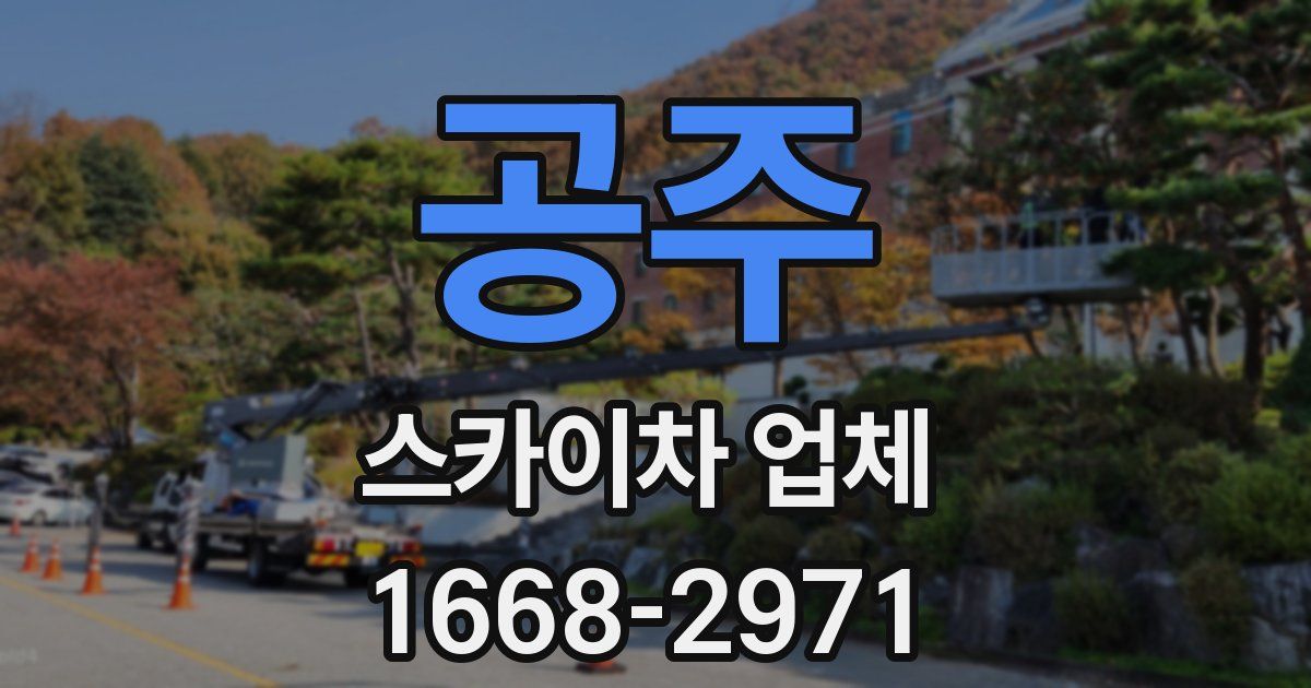 공주 스카이차 업체