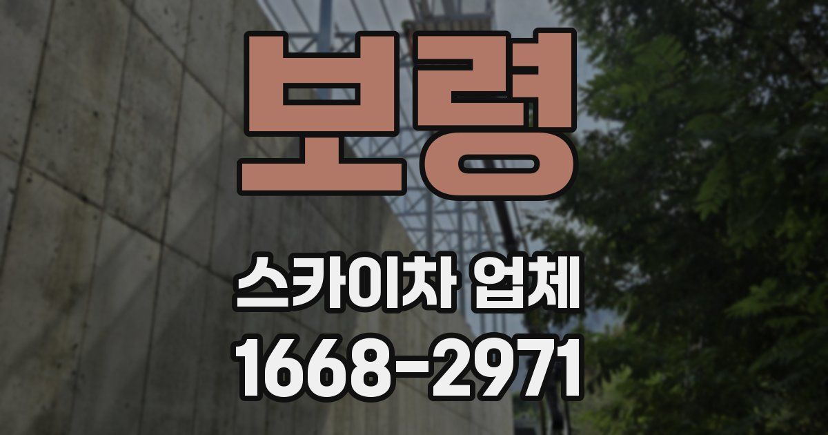 보령 스카이차 업체
