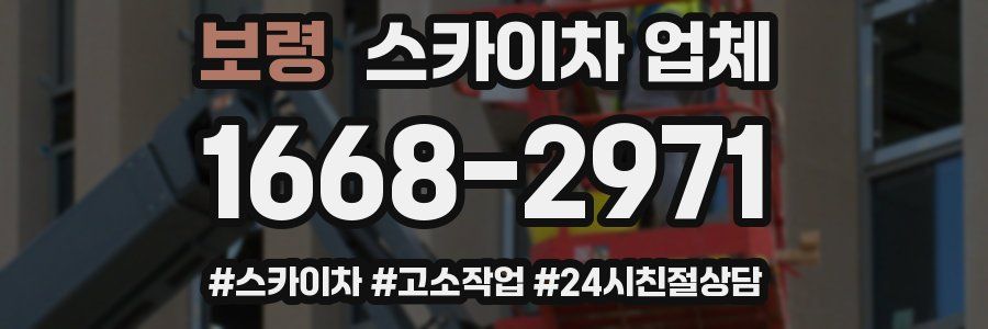 보령 스카이차 업체