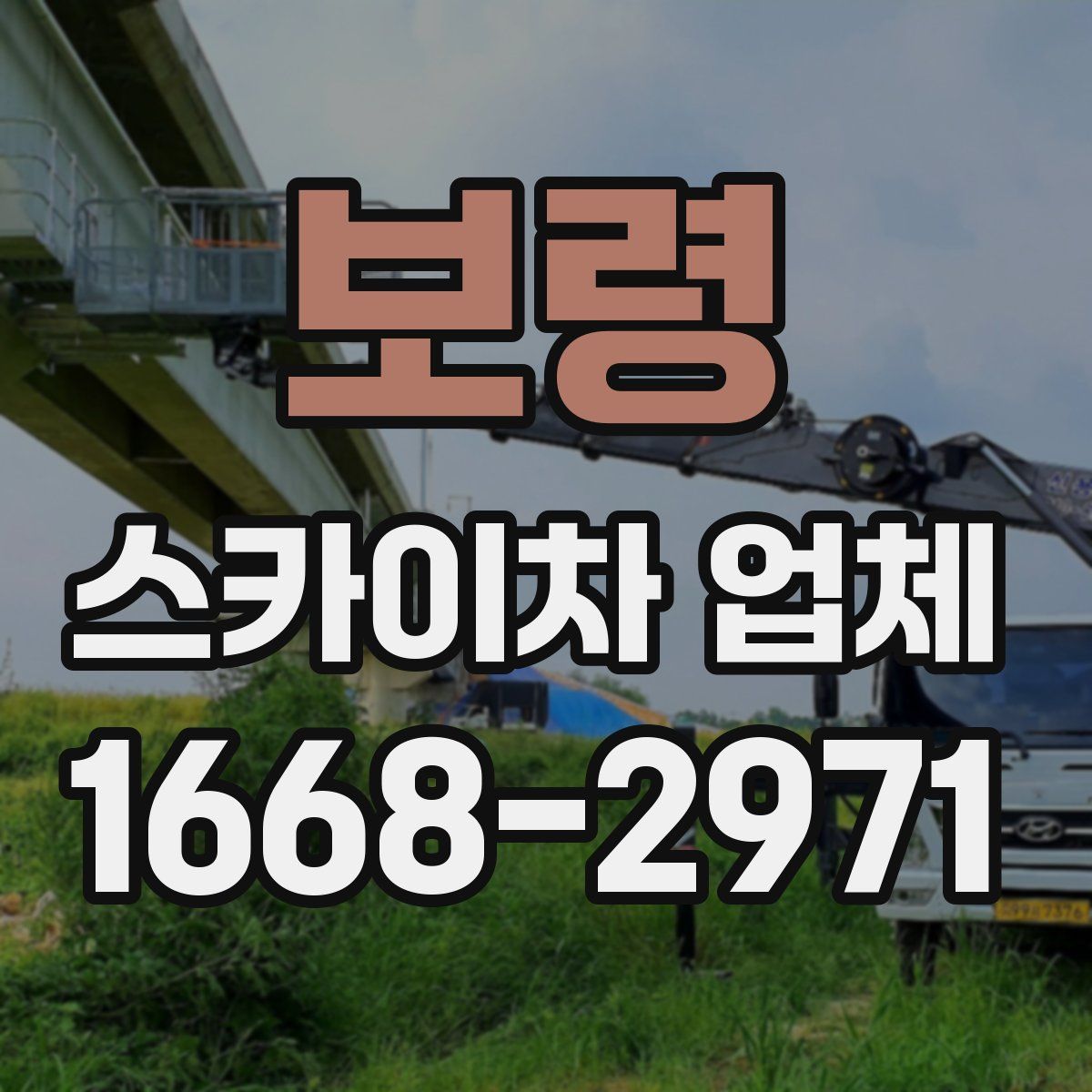 보령 스카이차 업체