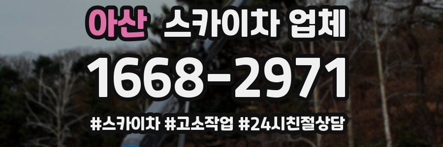 아산 스카이차 업체